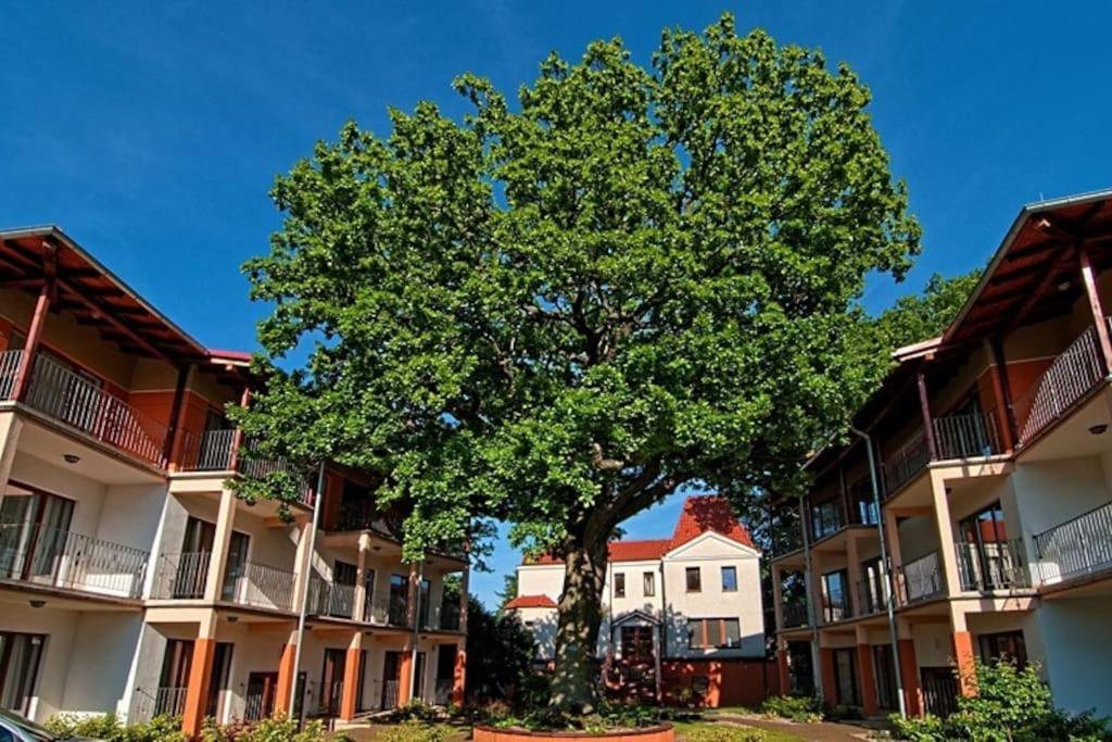Rezydencja 5 Debow Miedzyzdroje Exterior photo